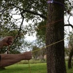 telecommande pour mouflage