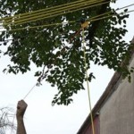 telecommande pour mouflage