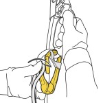 carabiner with pulley