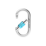 oval steel carabiner with blue ring nut