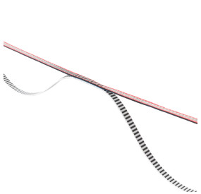 solid webbing backup longline highline